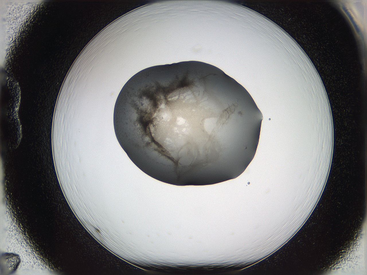 05w0_B7_ImagerDefaults_3.jpg