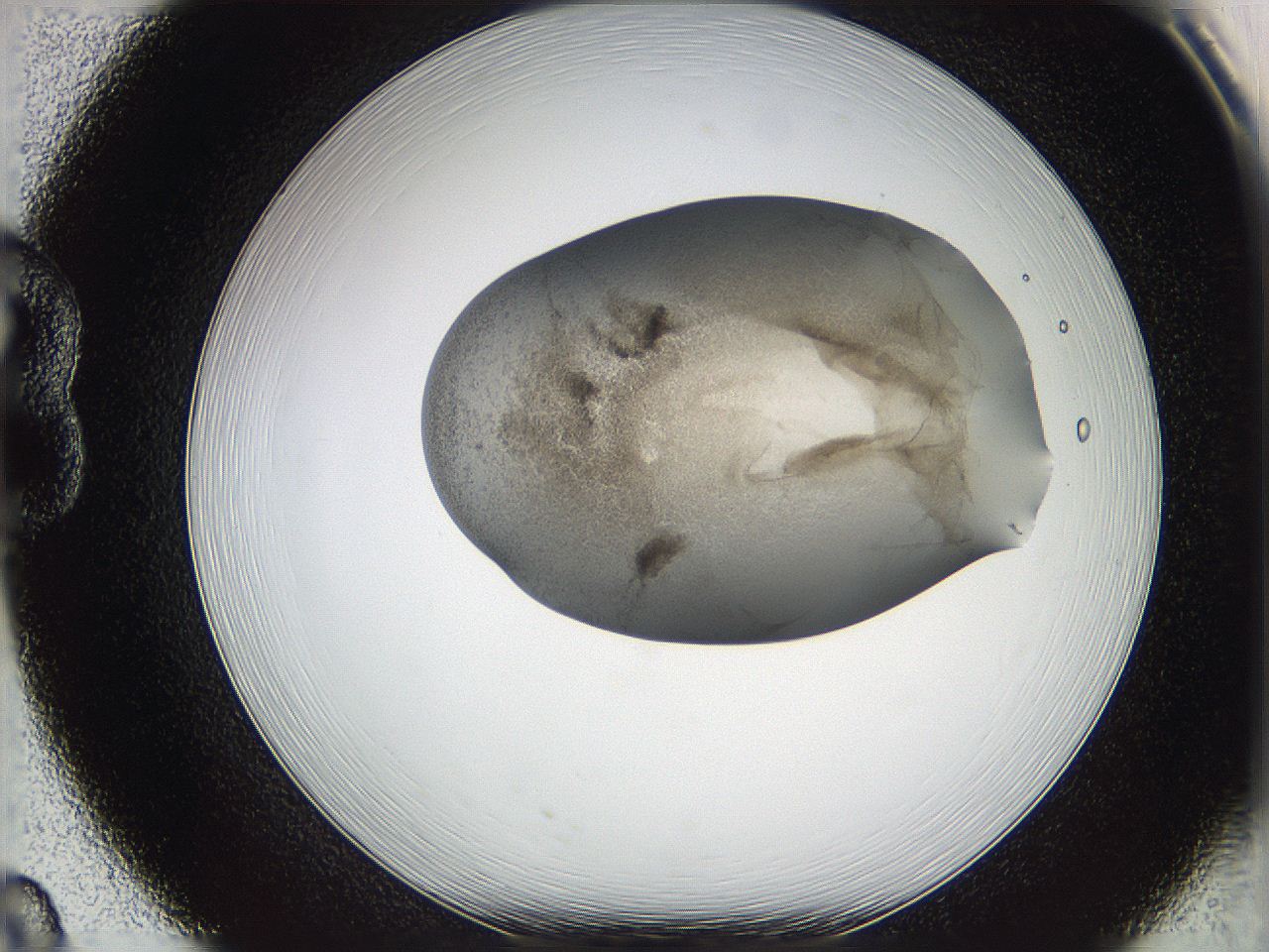 05w0_B8_ImagerDefaults_3.jpg