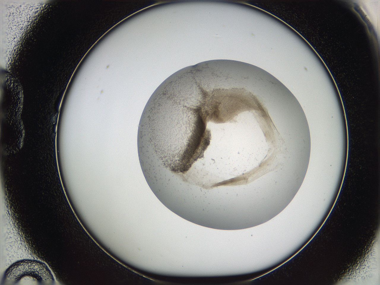 05w0_B10_ImagerDefaults_3.jpg