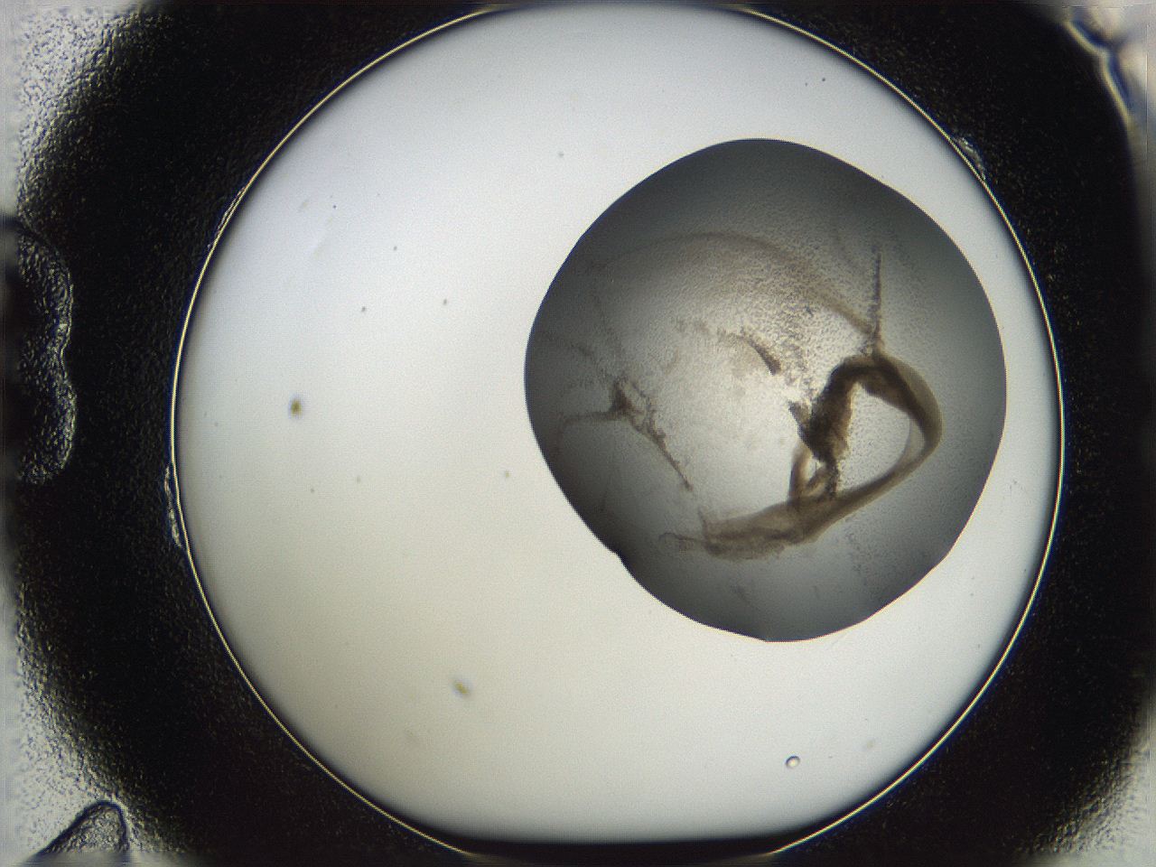05w0_B11_ImagerDefaults_3.jpg