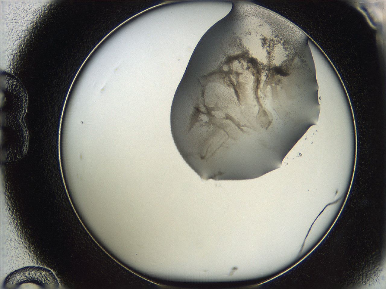05w0_B12_ImagerDefaults_3.jpg