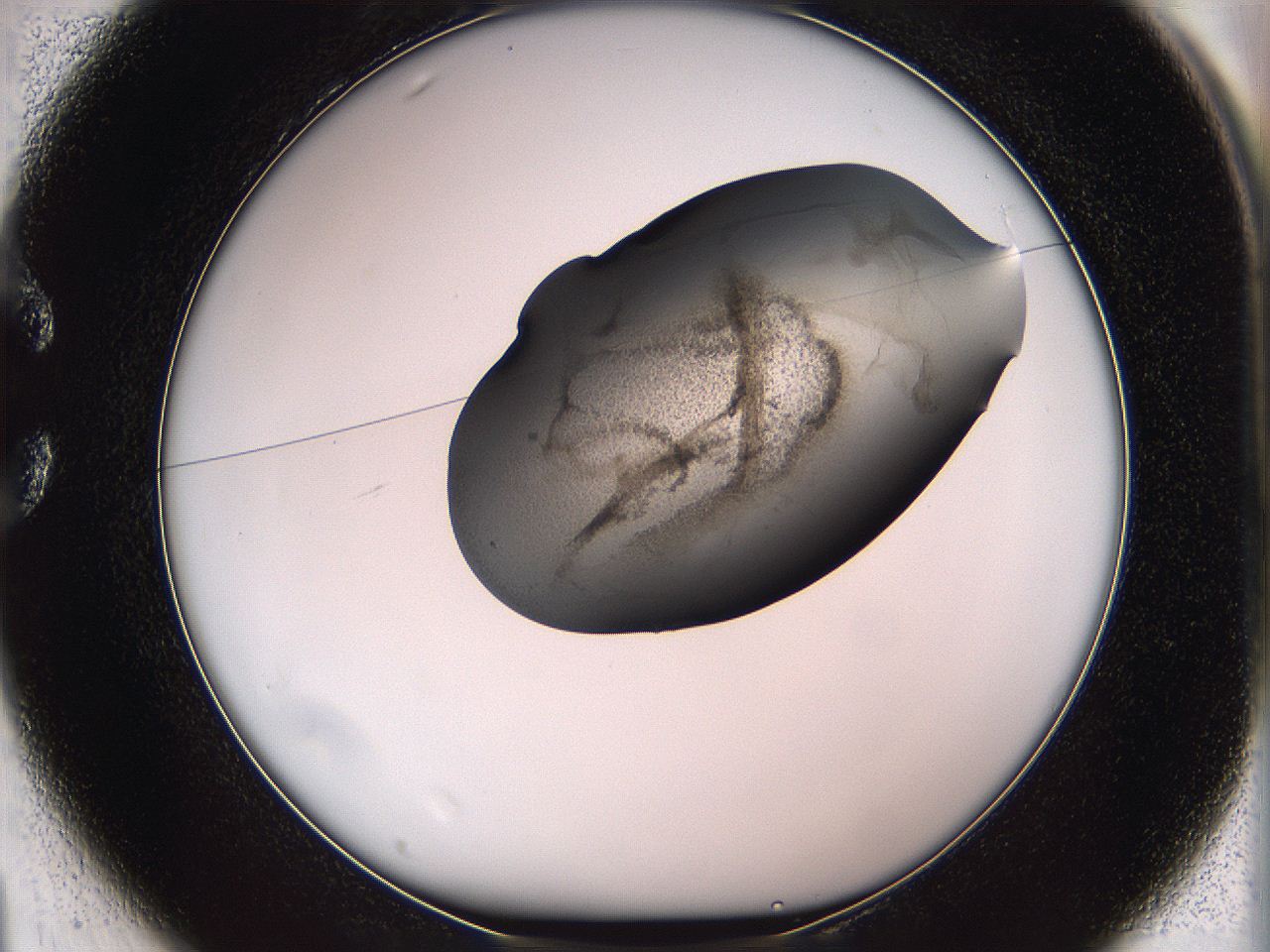05w0_C1_ImagerDefaults_3.jpg