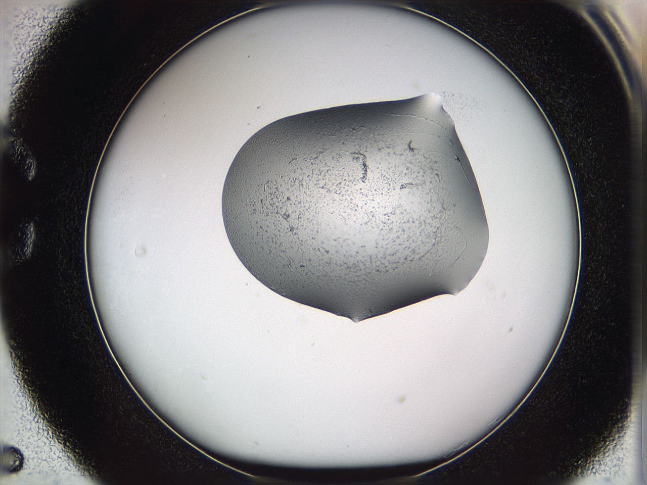 05w0_C5_ImagerDefaults_3.jpg