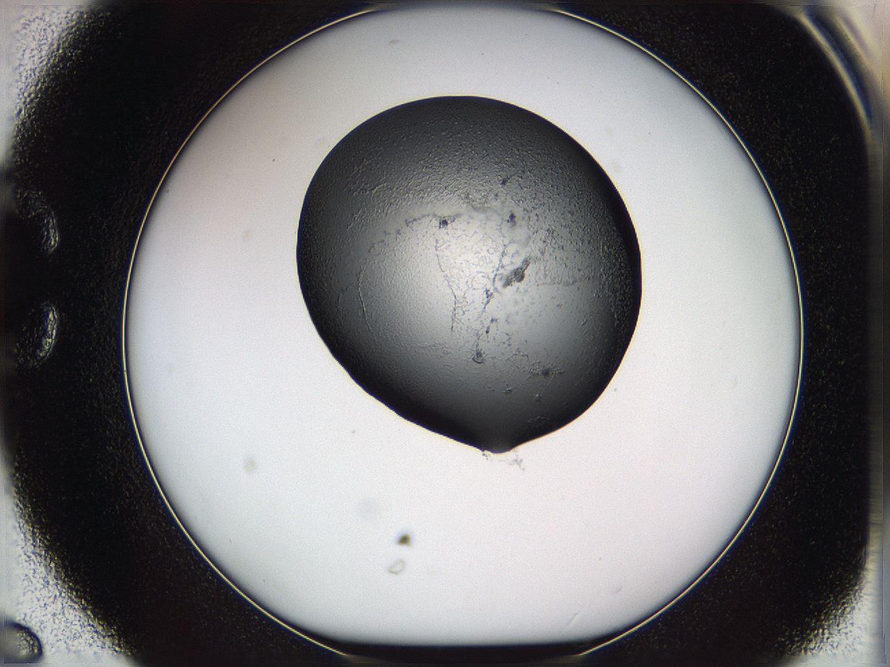 05w0_C6_ImagerDefaults_3.jpg