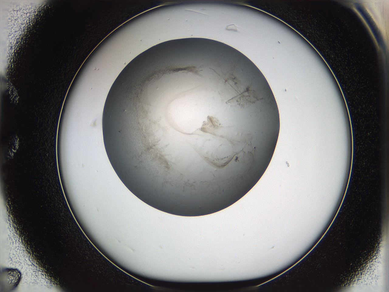 05w0_C7_ImagerDefaults_3.jpg