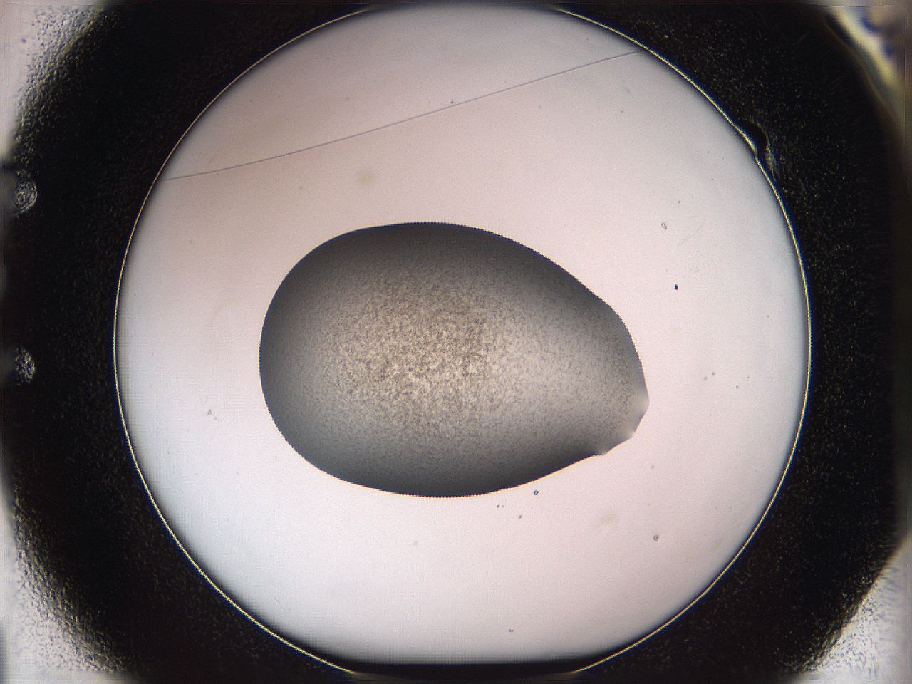05w0_E1_ImagerDefaults_3.jpg