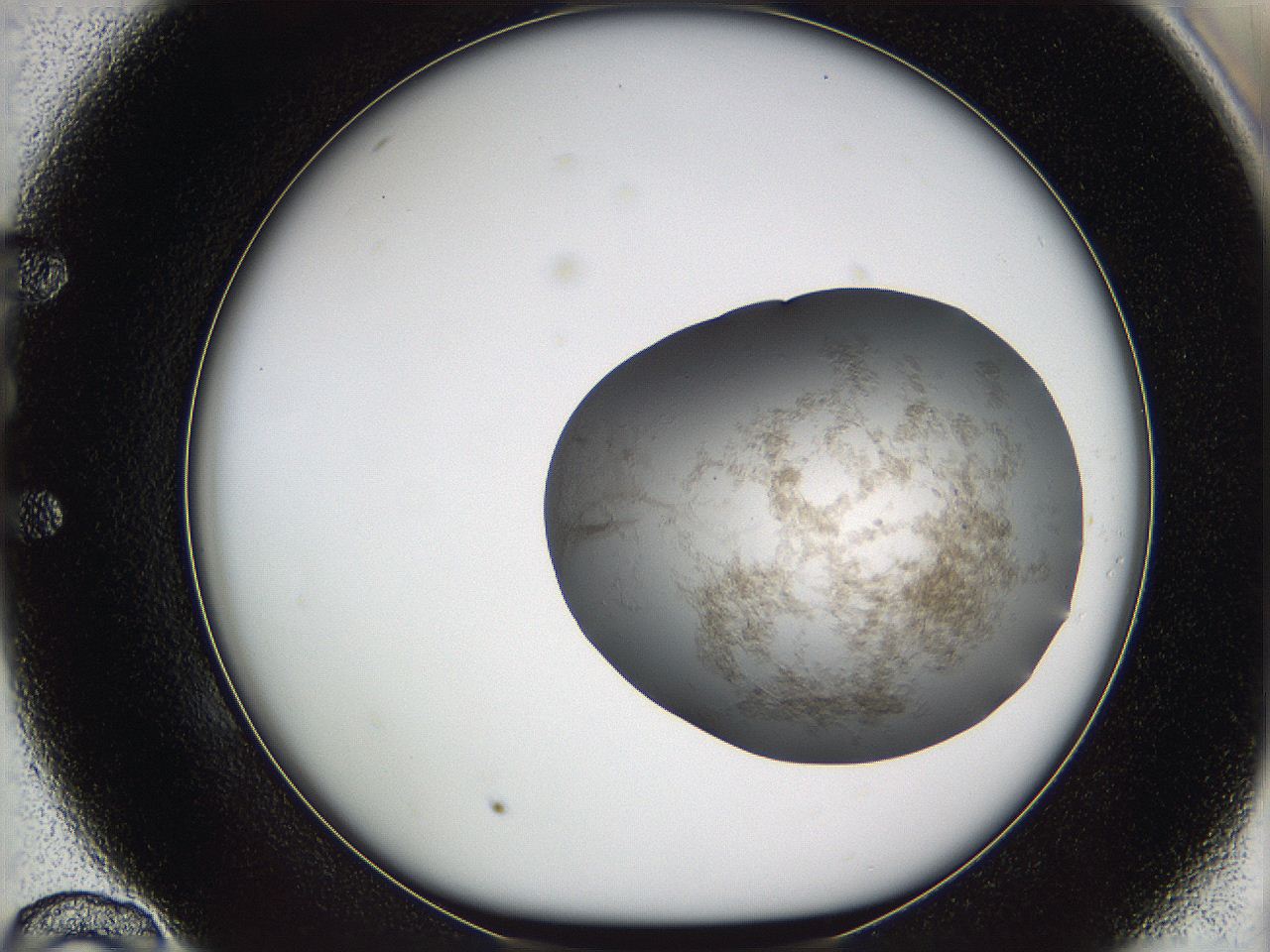 05w0_E10_ImagerDefaults_3.jpg