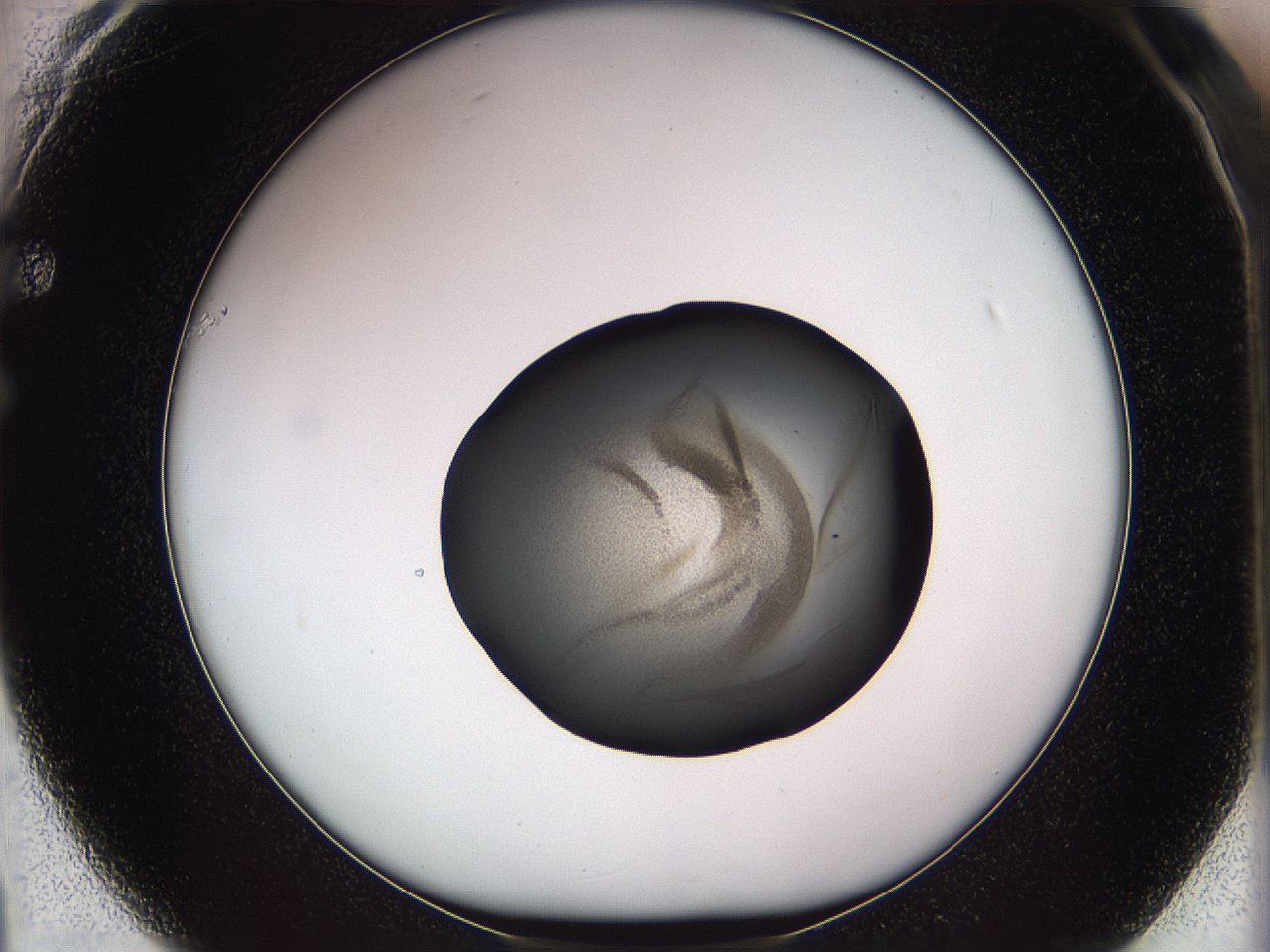 05w0_F1_ImagerDefaults_3.jpg
