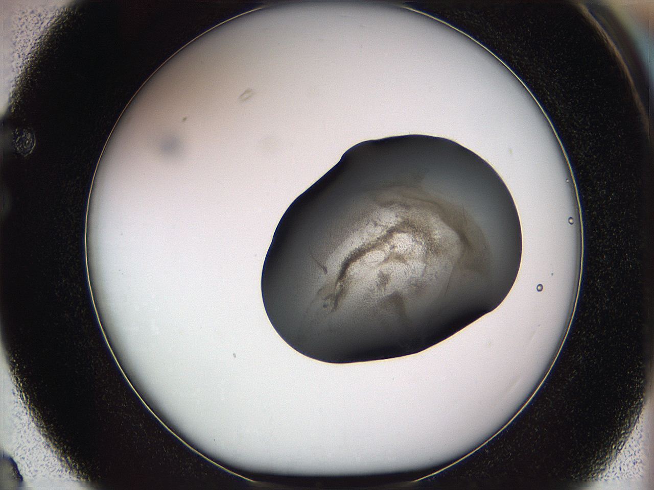 05w0_F3_ImagerDefaults_3.jpg