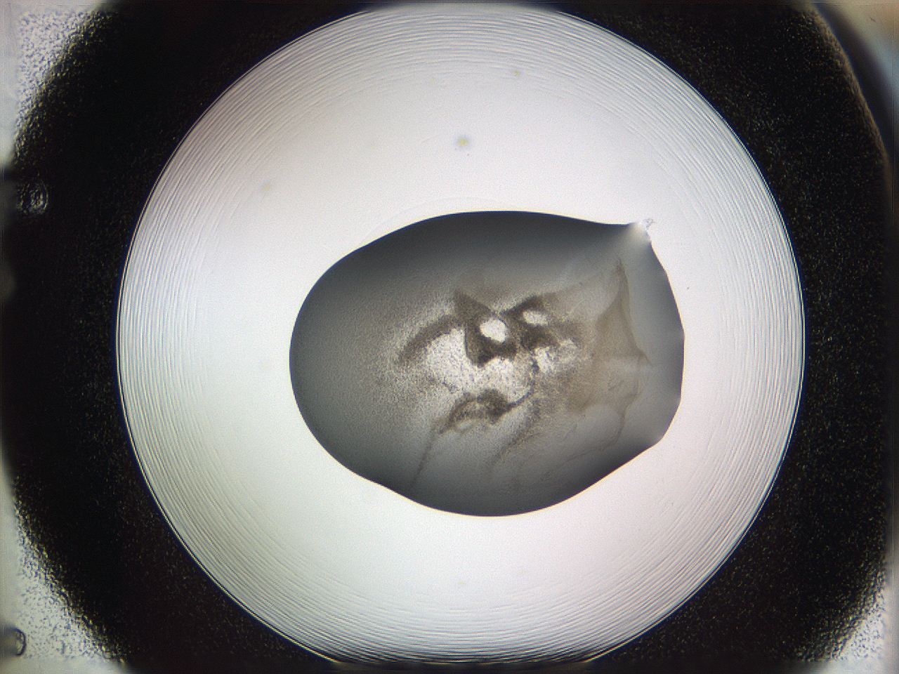 05w0_F5_ImagerDefaults_3.jpg