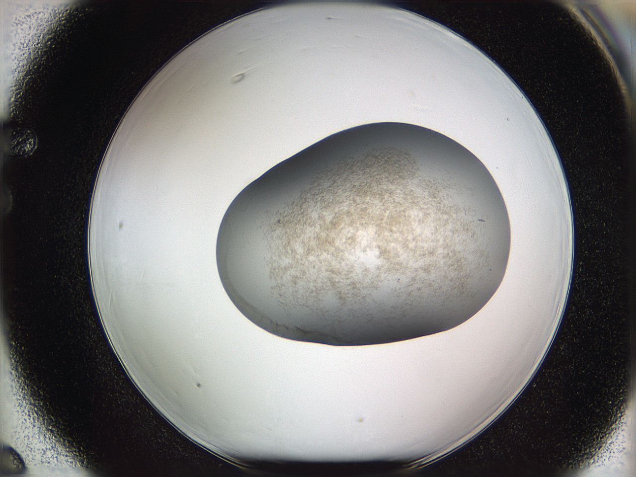 05w0_F6_ImagerDefaults_3.jpg