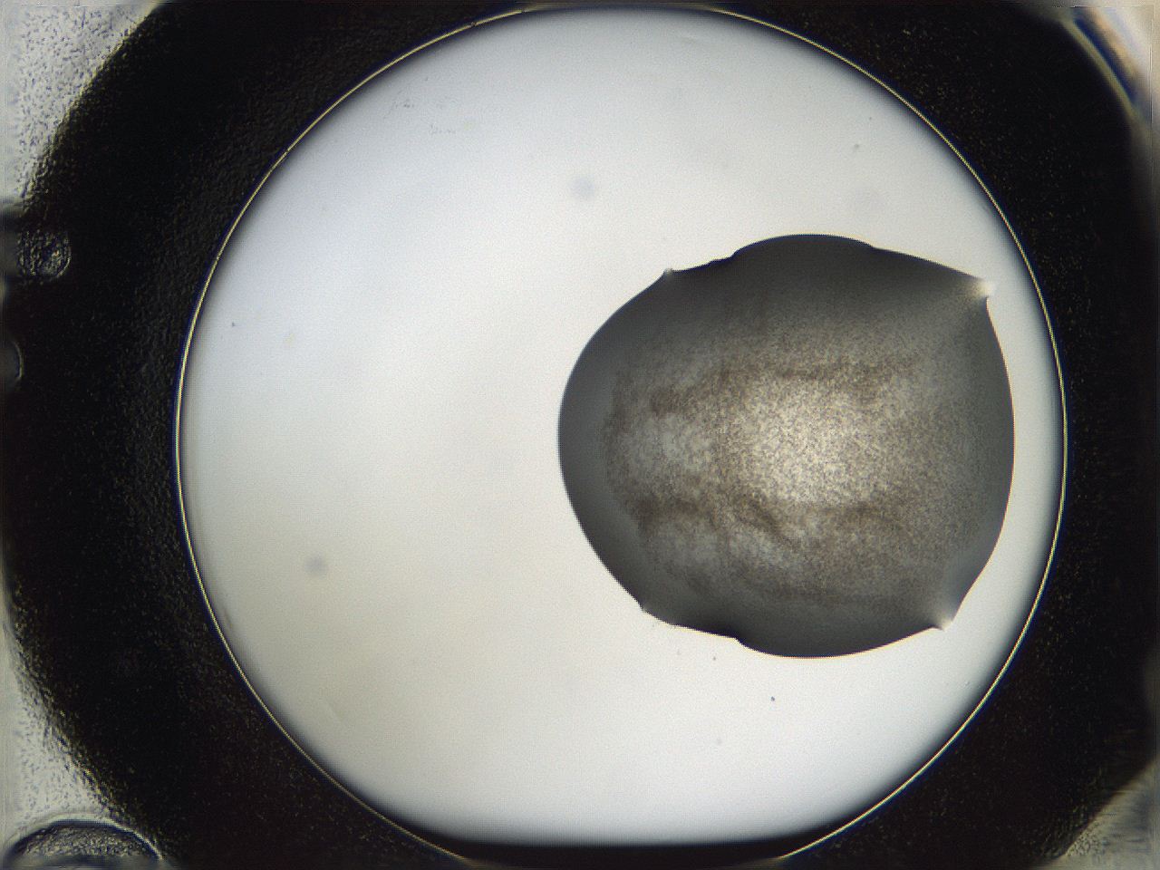 05w0_F12_ImagerDefaults_3.jpg