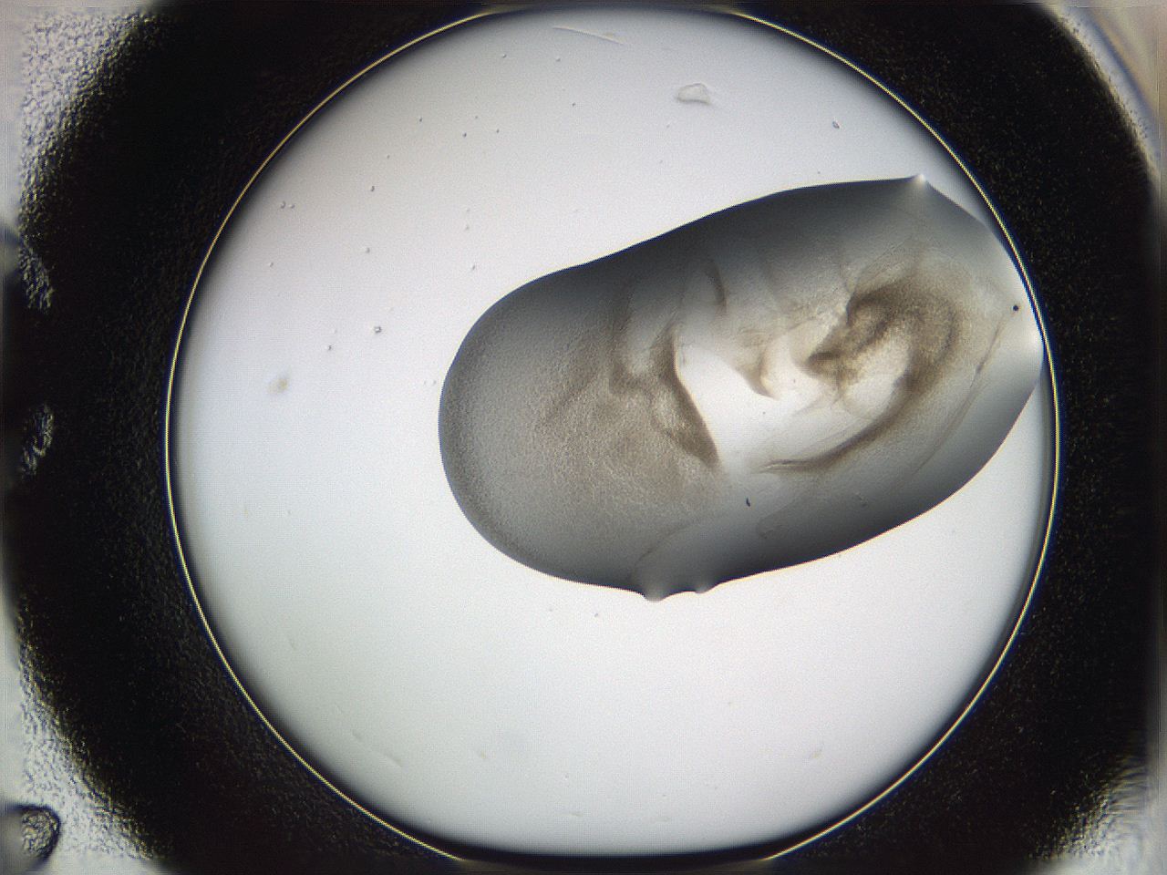 05w1_C7_ImagerDefaults_3.jpg