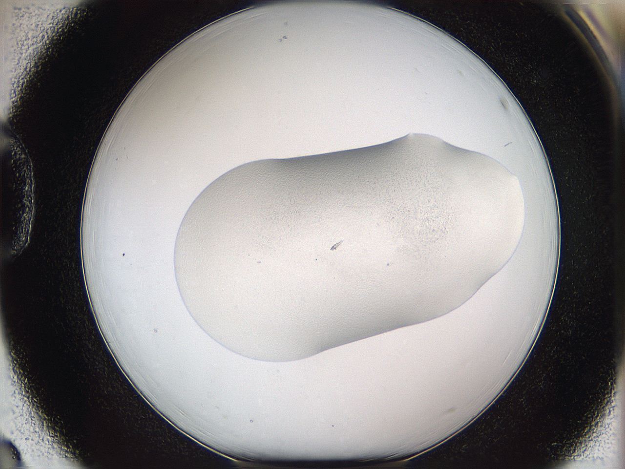 05w1_D3_ImagerDefaults_1.jpg