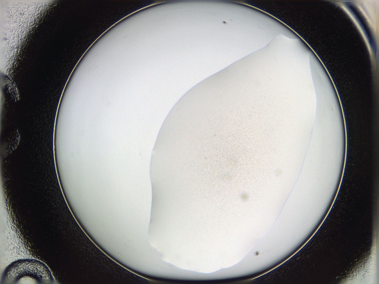 05w1_C10_ImagerDefaults_3.jpg