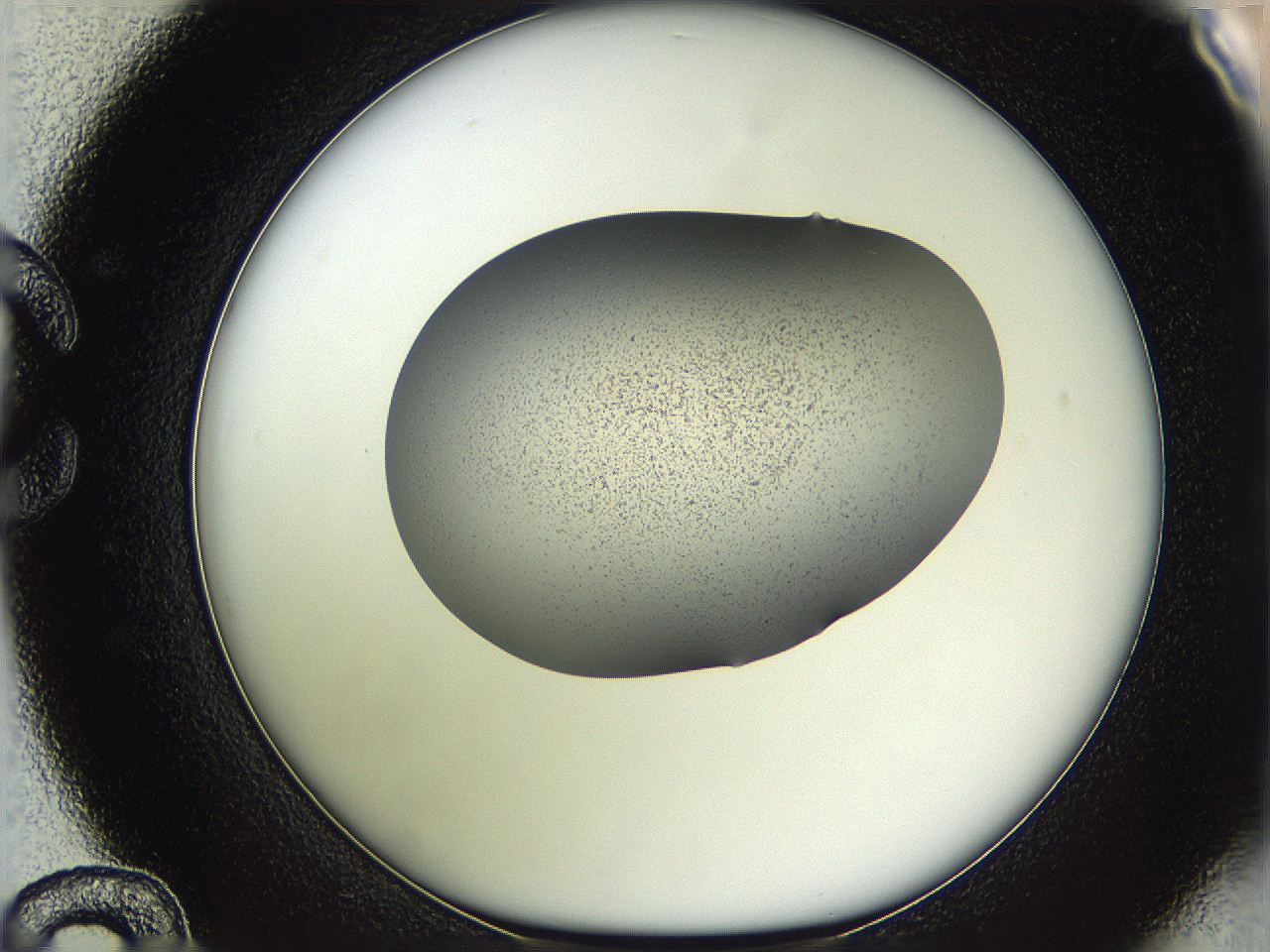 05w1_C12_ImagerDefaults_3.jpg