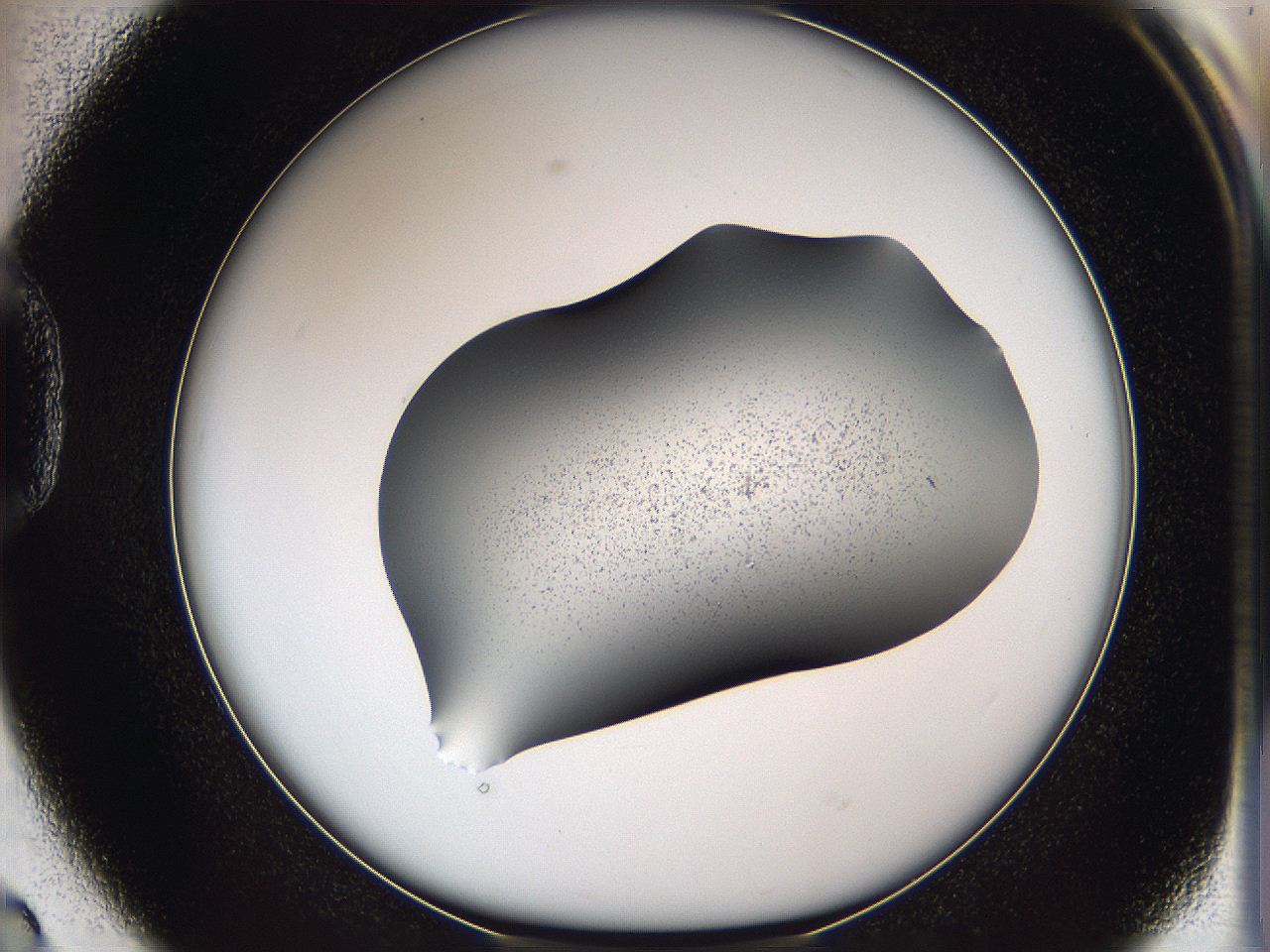 05w1_D2_ImagerDefaults_3.jpg