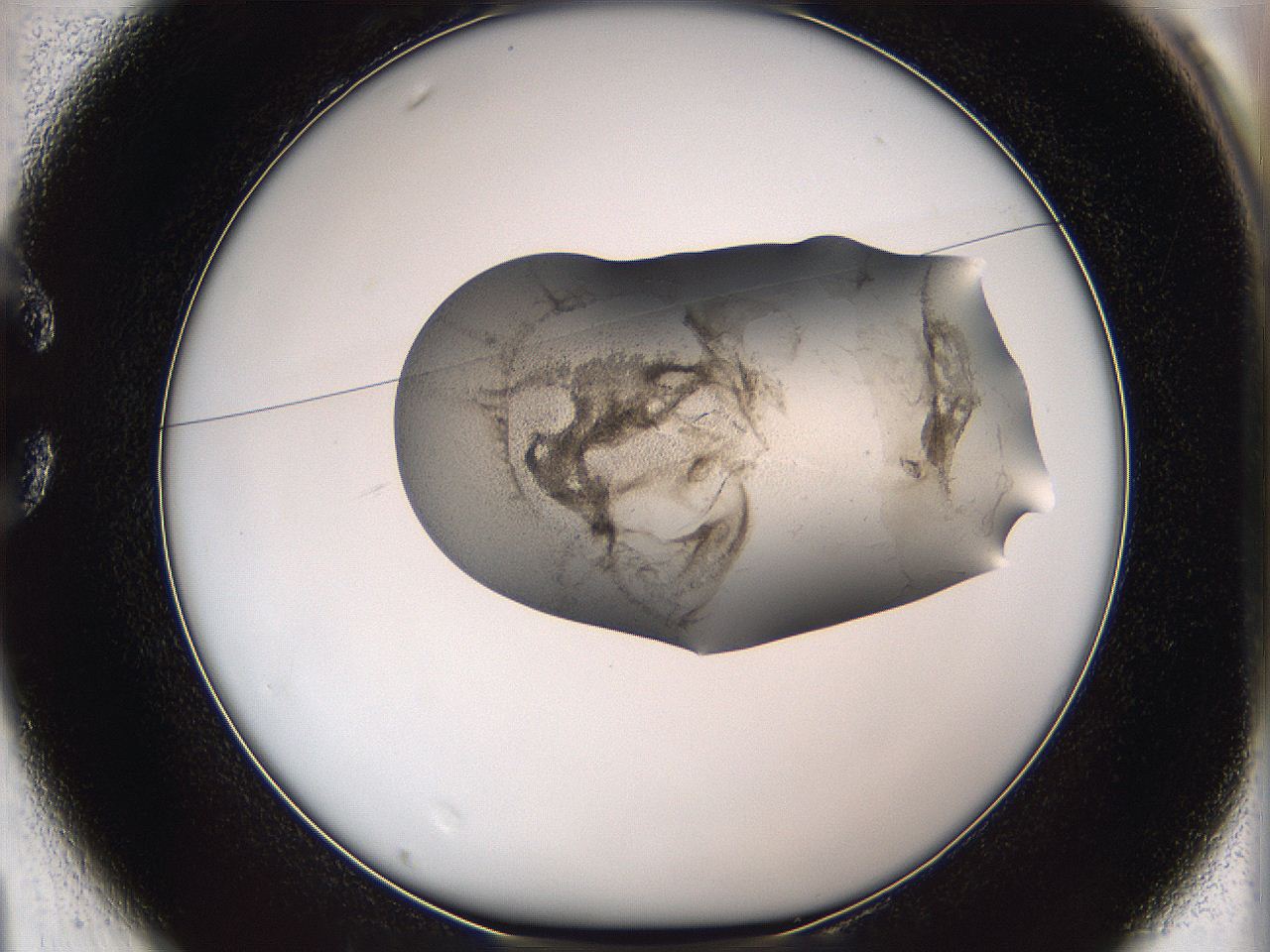05w1_C1_ImagerDefaults_3.jpg