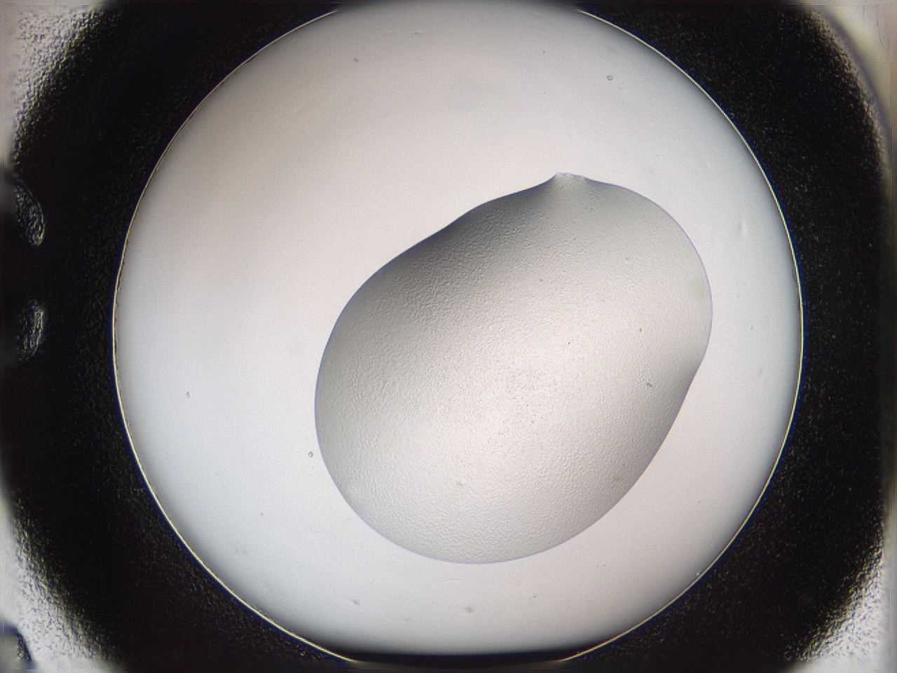 05w1_C2_ImagerDefaults_2.jpg