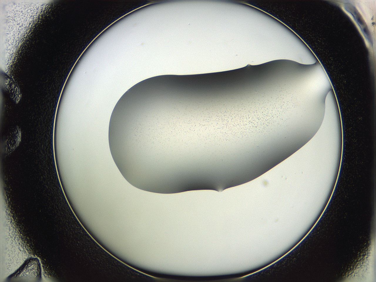 05w1_C11_ImagerDefaults_3.jpg