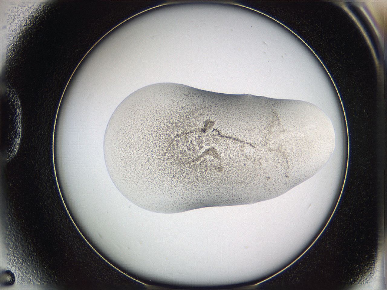 05w1_D5_ImagerDefaults_3.jpg