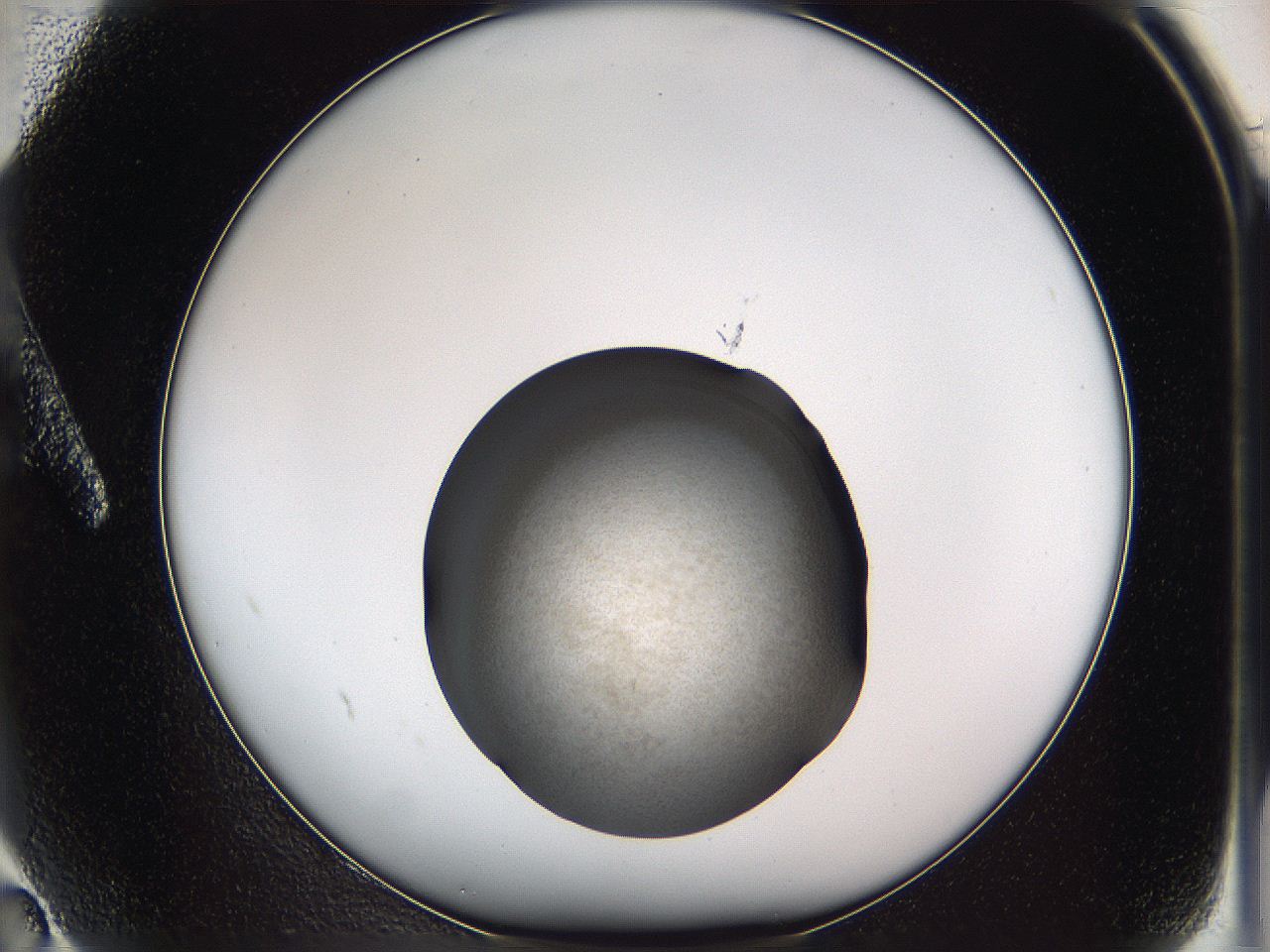 05w1_A2_ImagerDefaults_3.jpg
