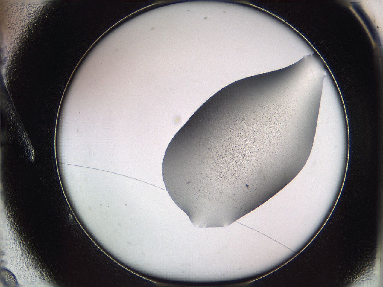 05w1_A9_ImagerDefaults_3.jpg