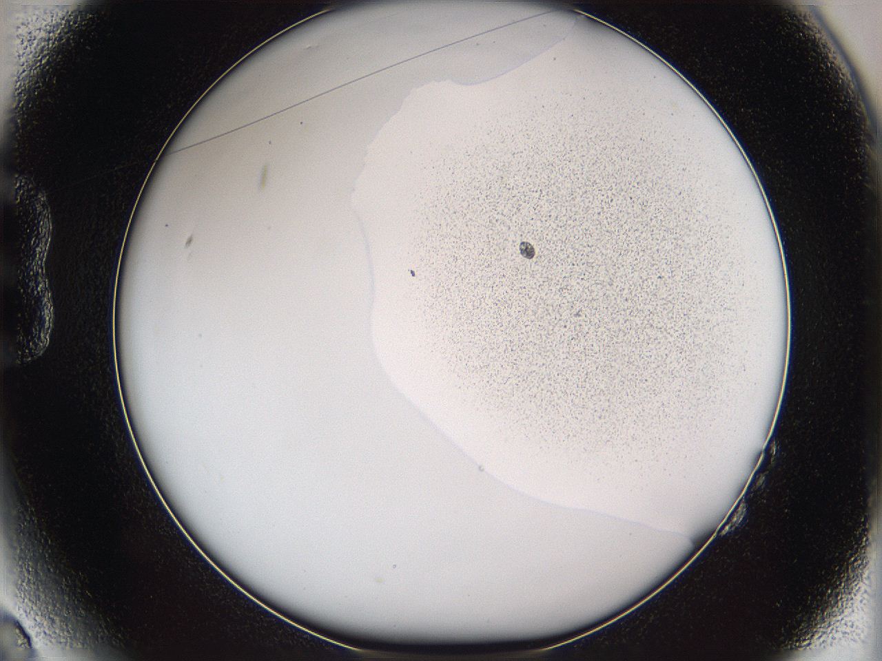 05w1_B2_ImagerDefaults_3.jpg