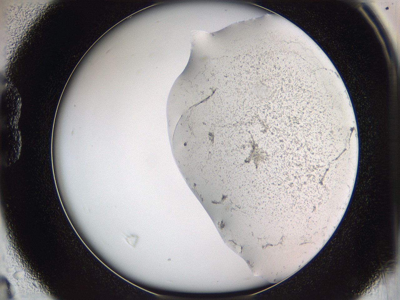 05w1_B4_ImagerDefaults_3.jpg