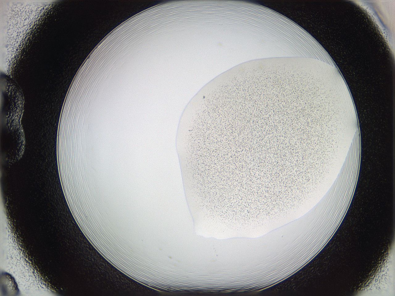 05w1_B8_ImagerDefaults_3.jpg