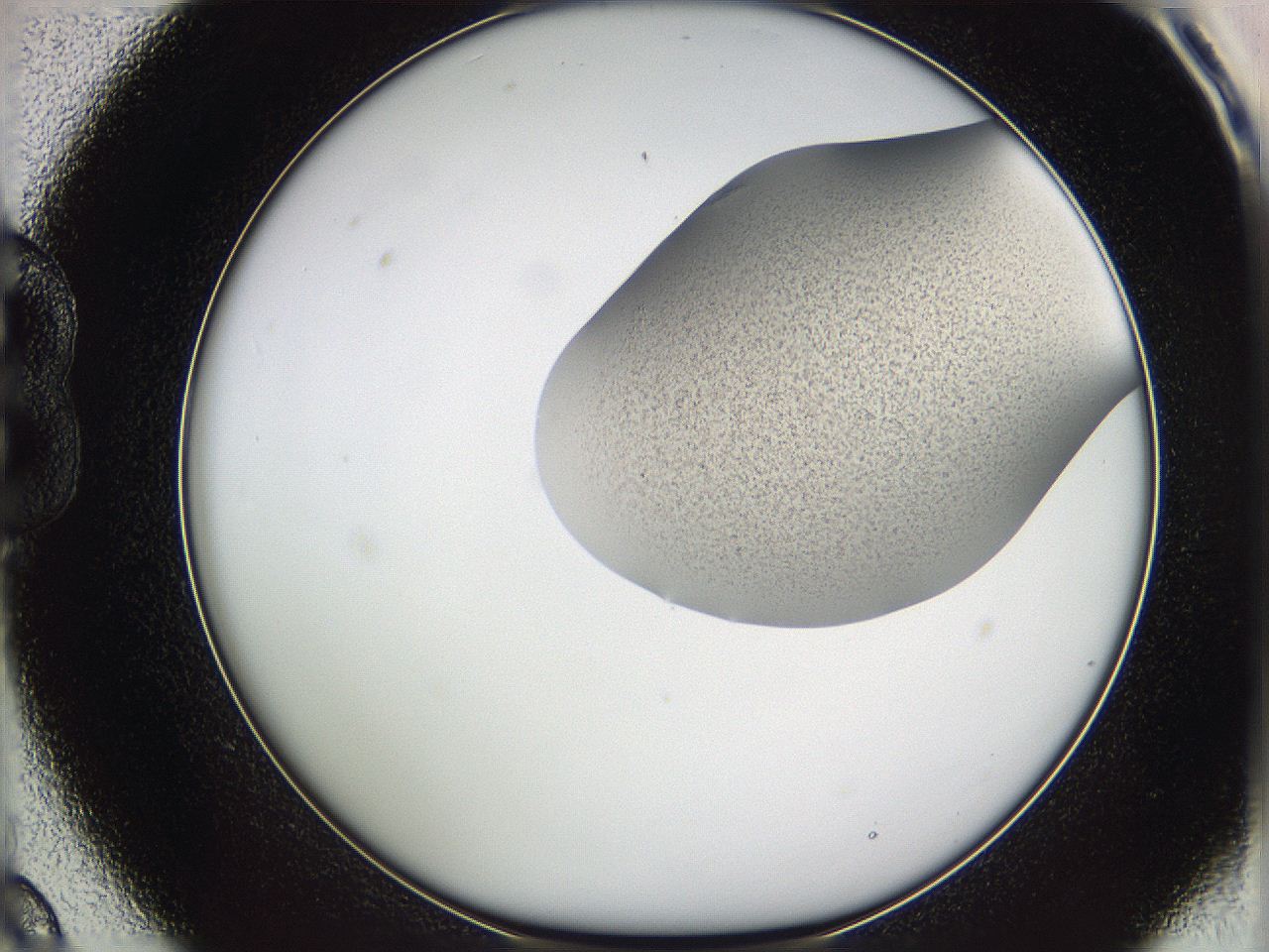 05w1_B9_ImagerDefaults_3.jpg