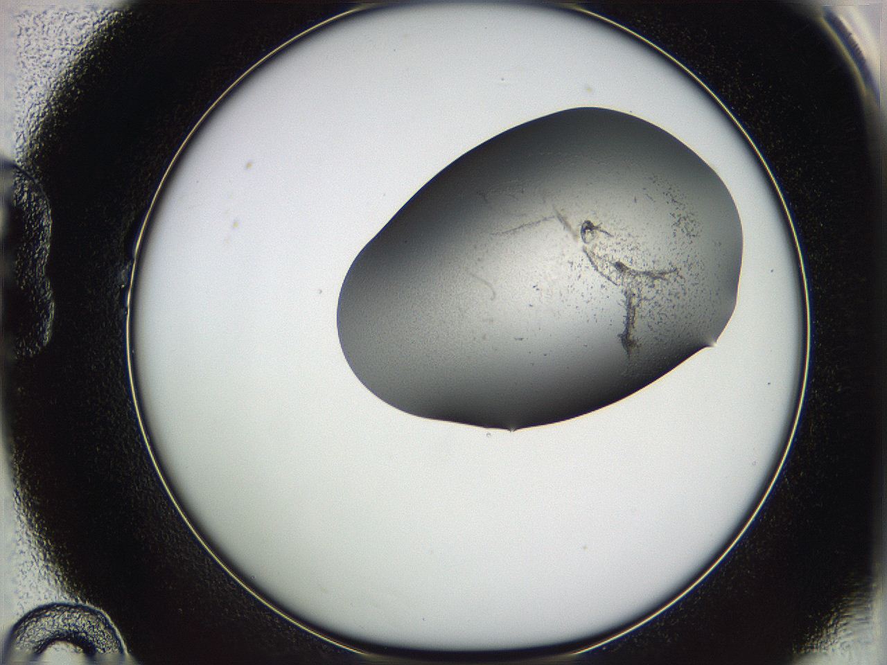 05w1_B10_ImagerDefaults_3.jpg
