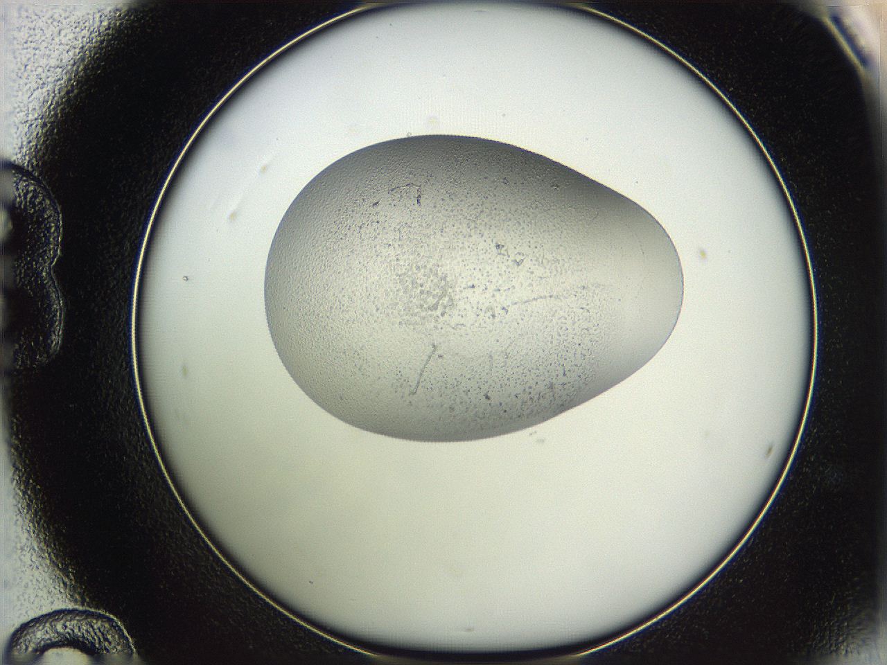 05w1_B12_ImagerDefaults_3.jpg