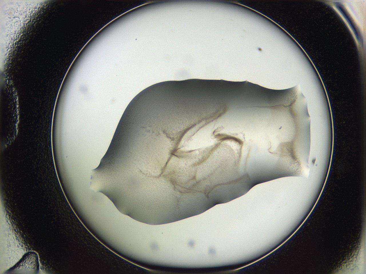 05w1_D11_ImagerDefaults_3.jpg