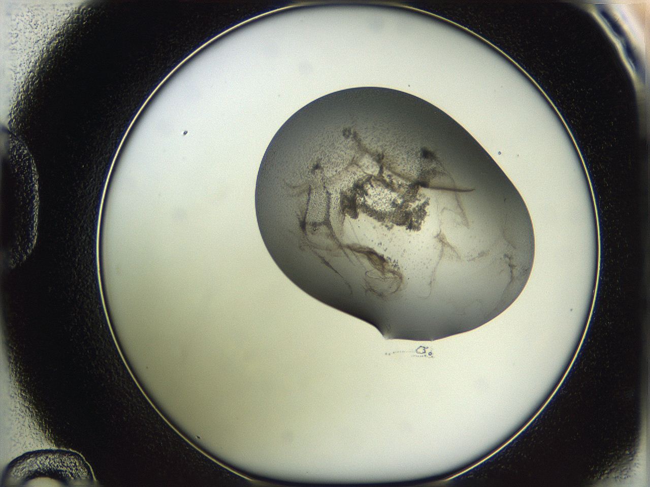 05w1_D12_ImagerDefaults_3.jpg