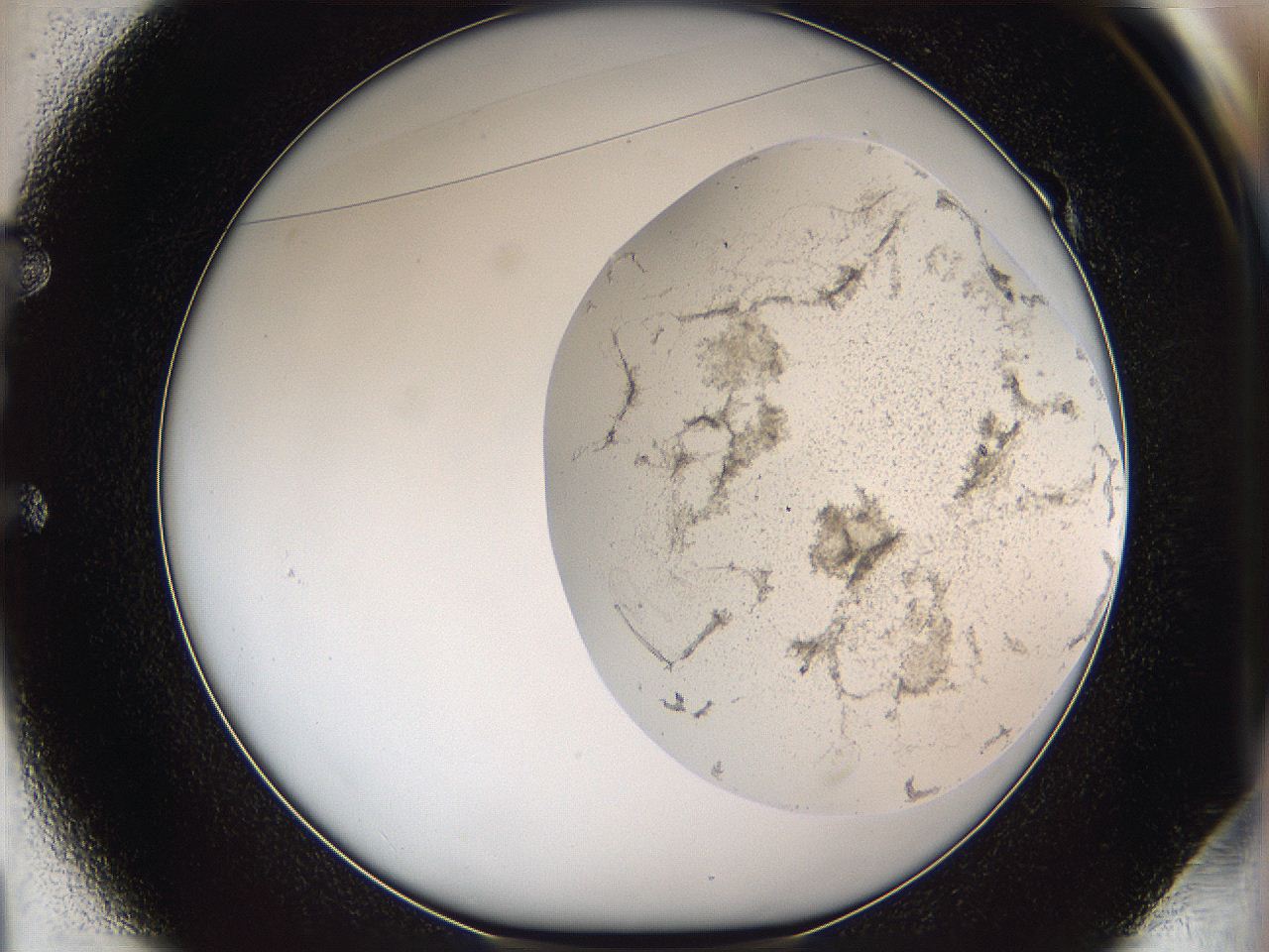 05w1_E1_ImagerDefaults_3.jpg