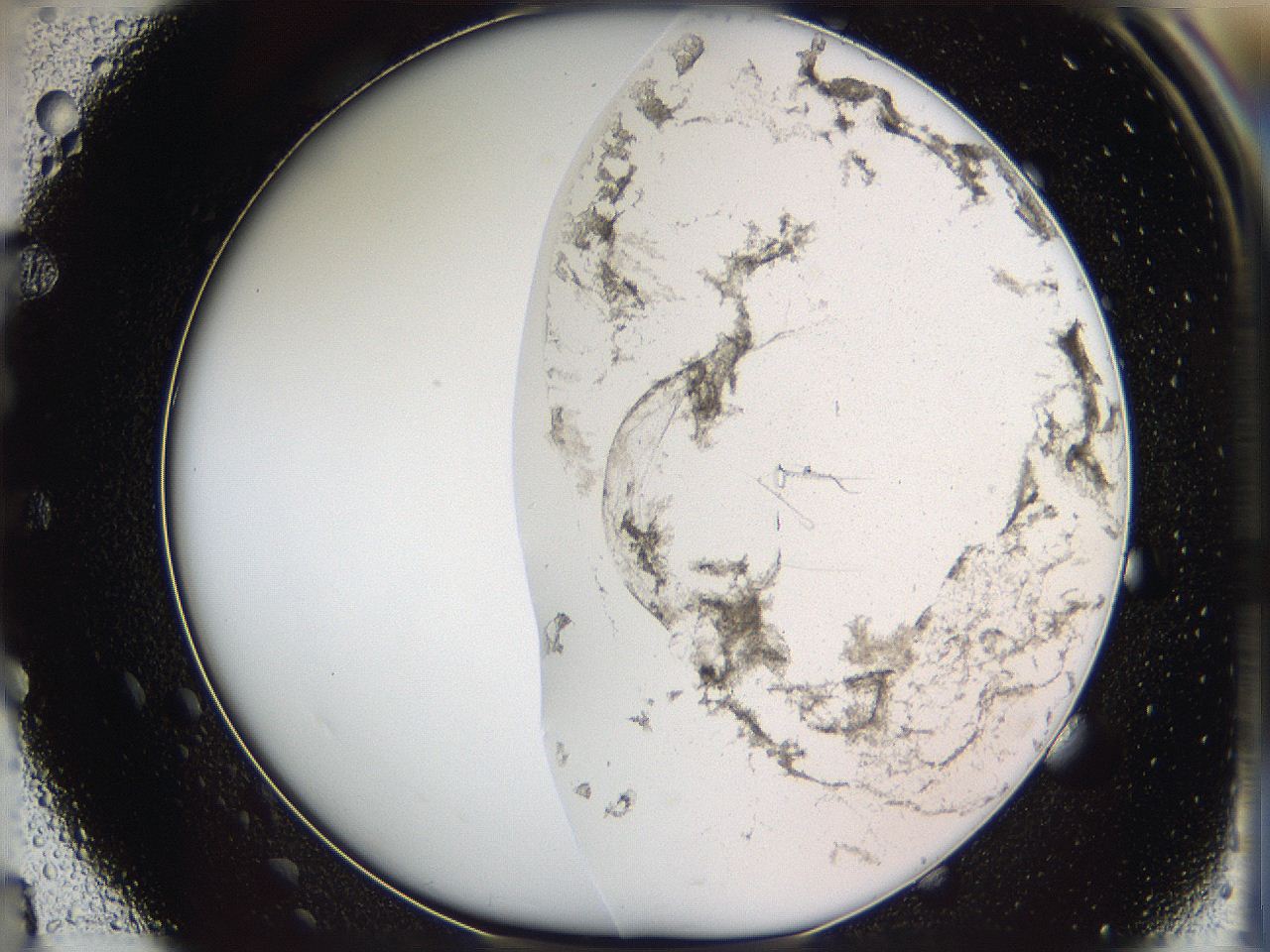 05w1_E4_ImagerDefaults_3.jpg