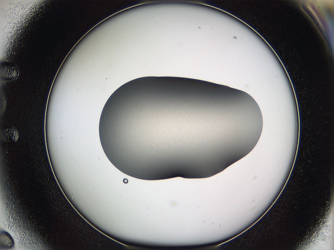05w1_E6_ImagerDefaults_2.jpg