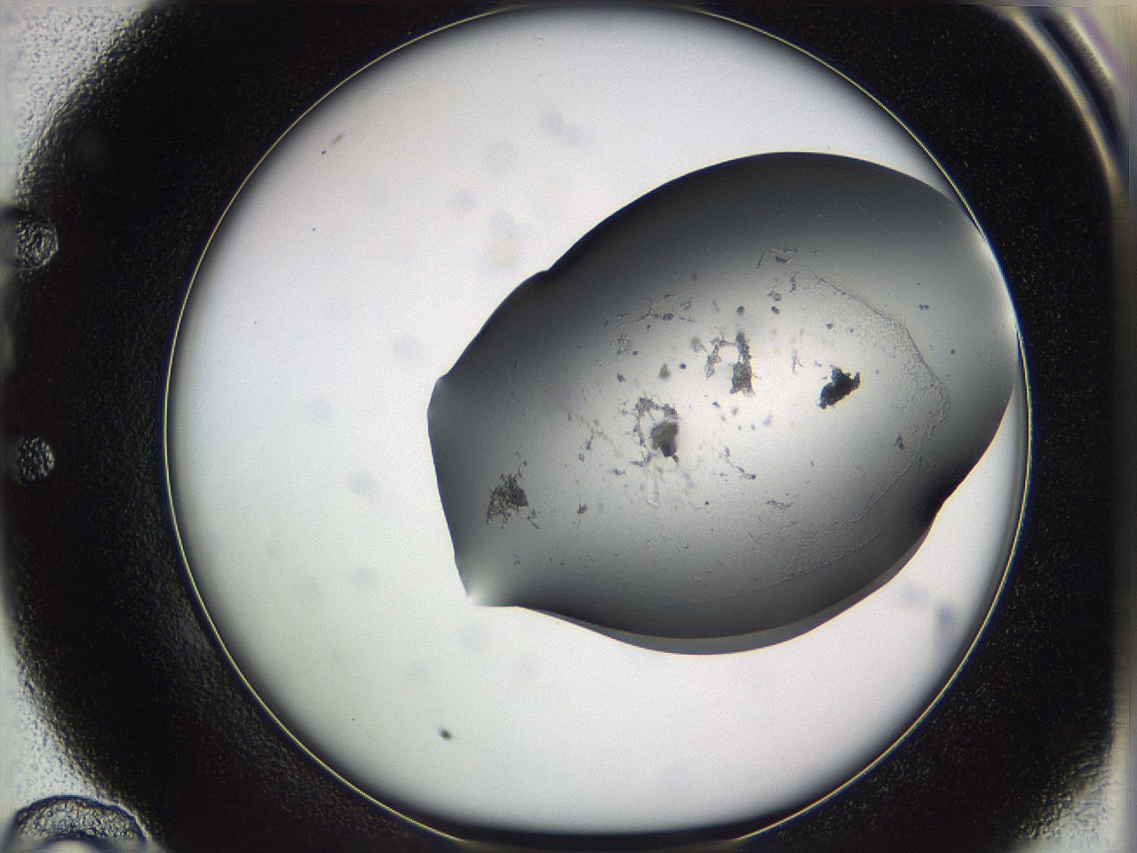 05w1_E10_ImagerDefaults_2.jpg