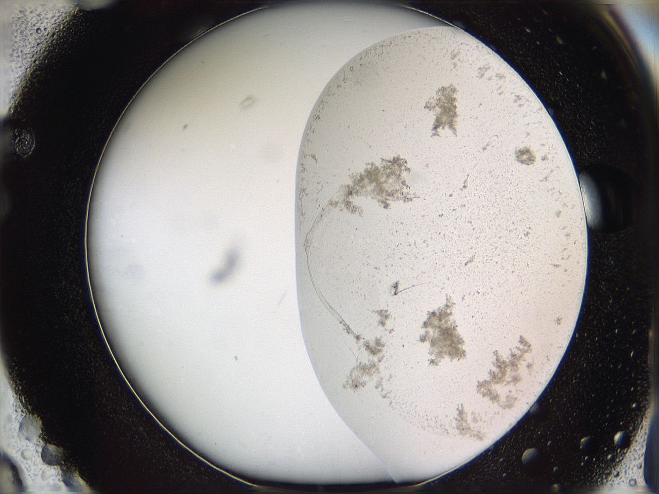 05w1_F3_ImagerDefaults_3.jpg