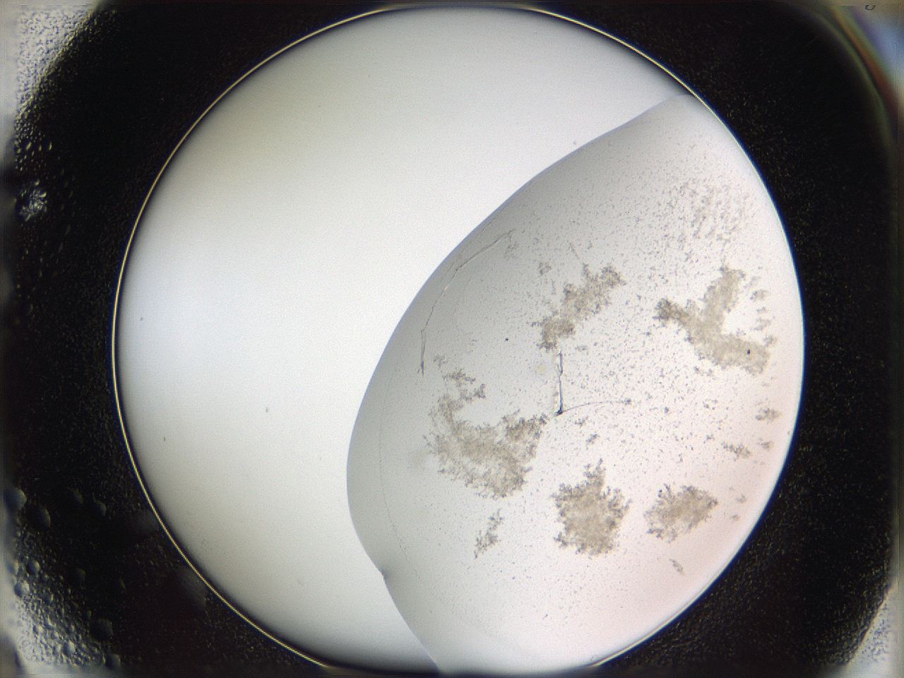 05w1_F4_ImagerDefaults_3.jpg
