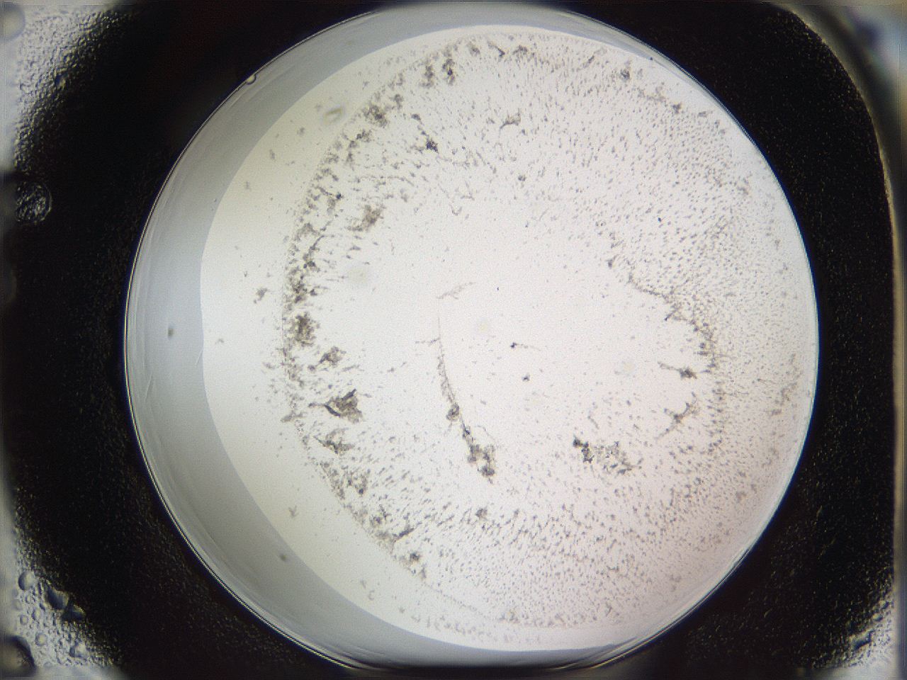 05w1_F6_ImagerDefaults_3.jpg