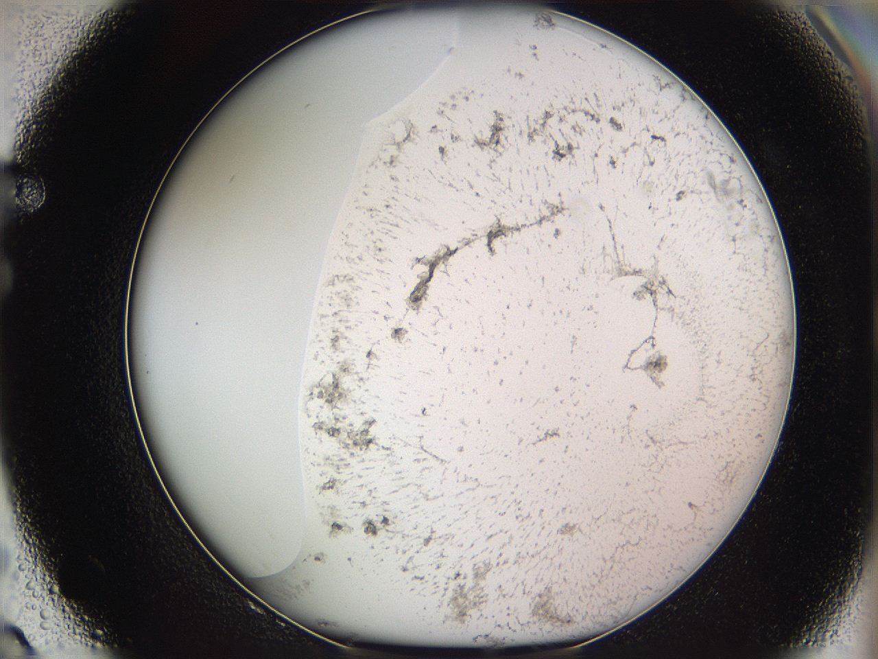 05w1_F8_ImagerDefaults_3.jpg