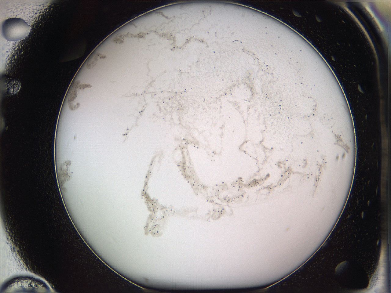 05w1_F10_ImagerDefaults_3.jpg