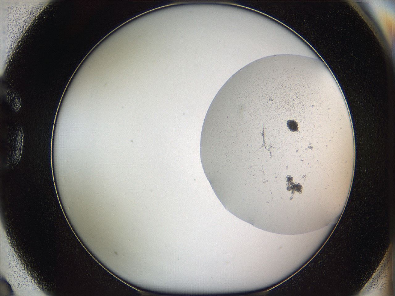 05w1_G3_ImagerDefaults_3.jpg