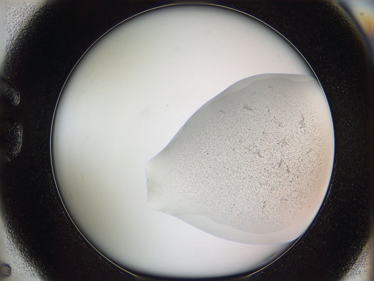 05w1_G5_ImagerDefaults_3.jpg