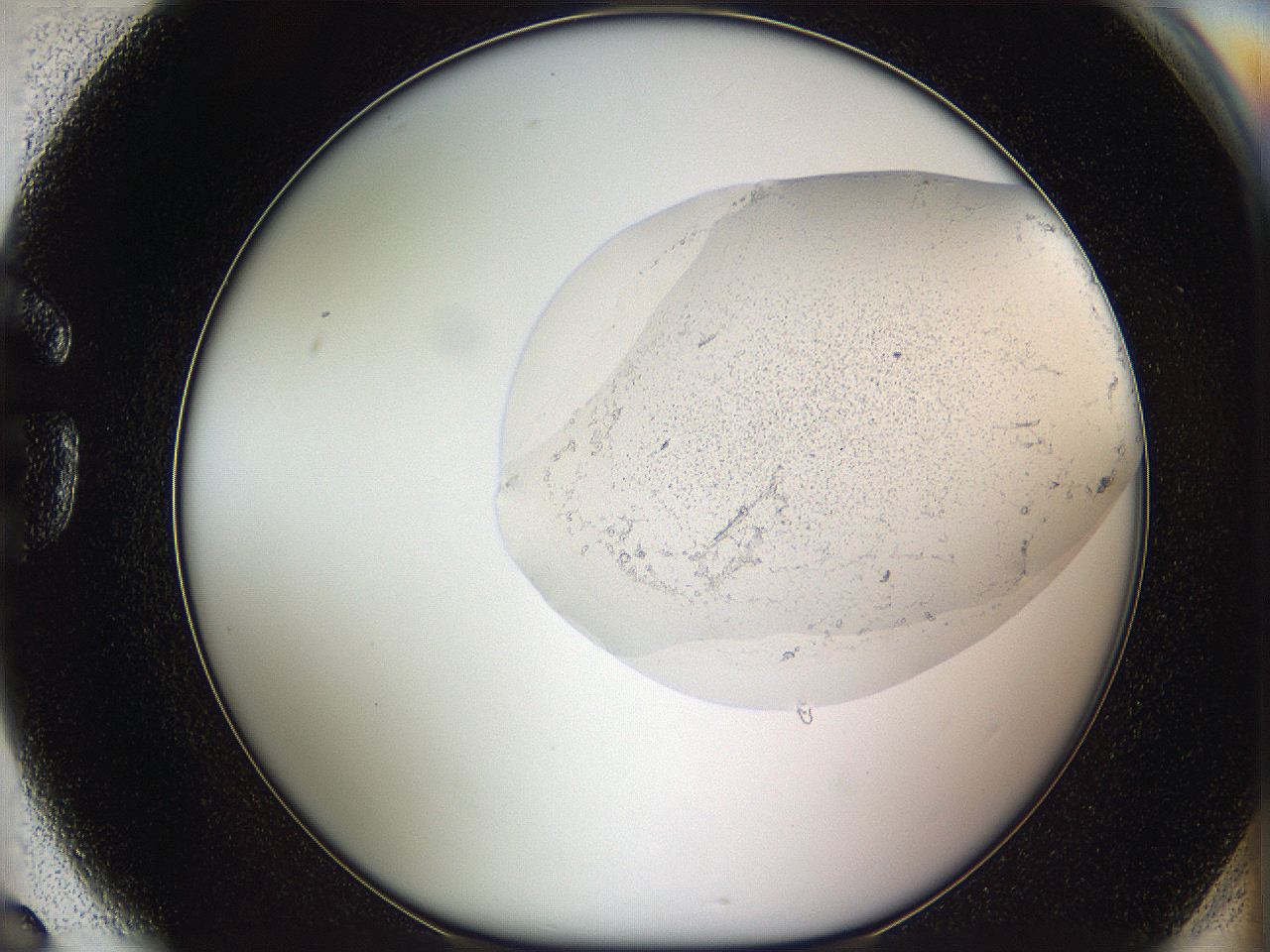 05w1_G6_ImagerDefaults_3.jpg