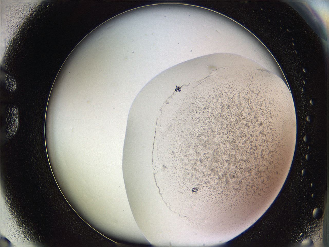 05w1_G8_ImagerDefaults_5.jpg