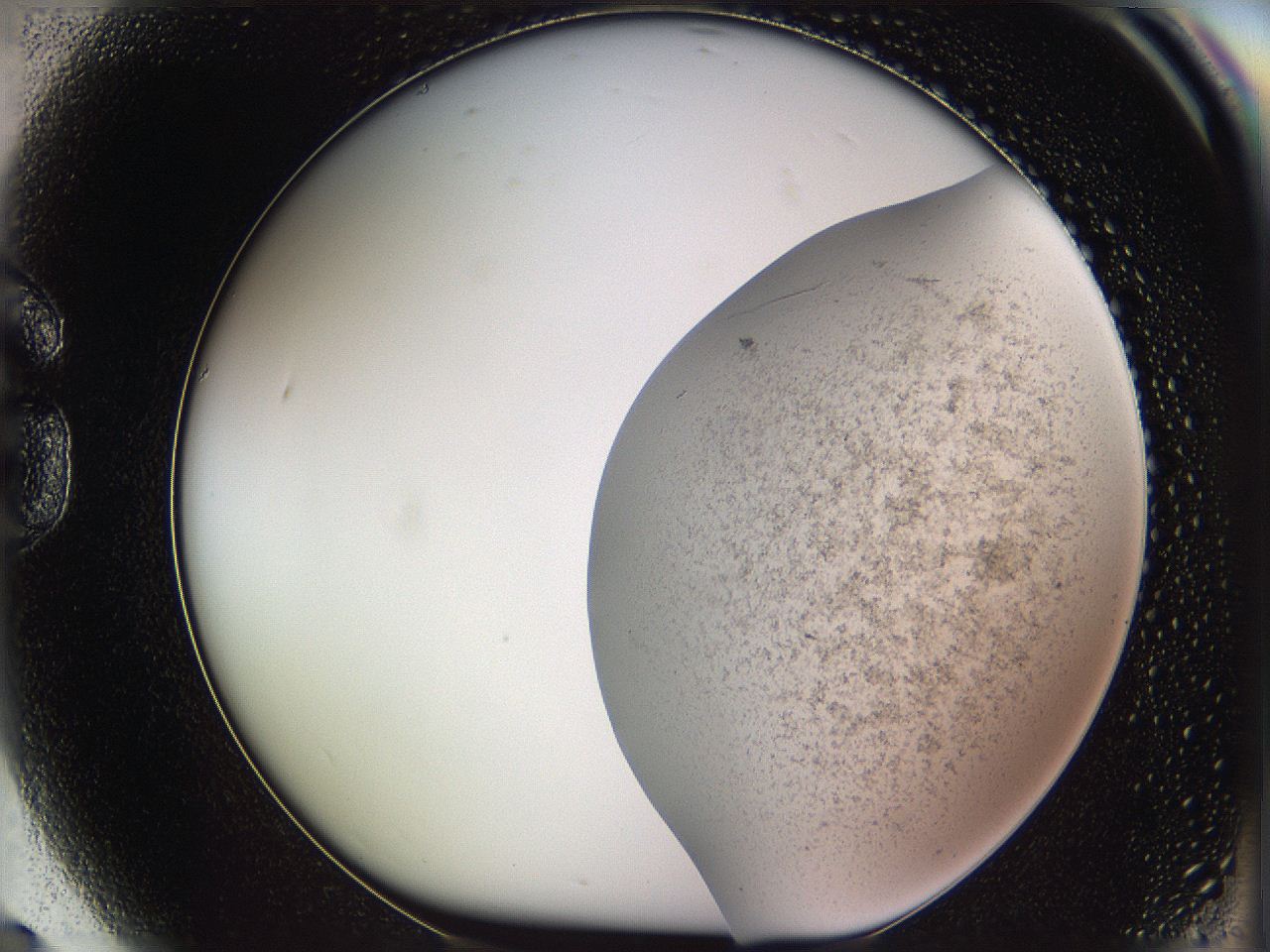 05w1_G9_ImagerDefaults_3.jpg