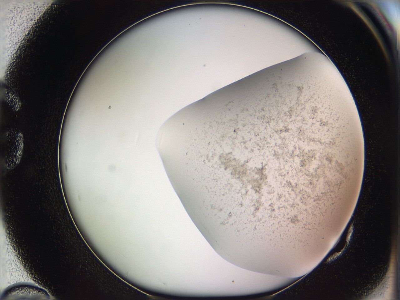 05w1_G10_ImagerDefaults_3.jpg
